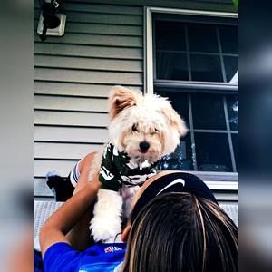 Meet your Posher, Caitlin